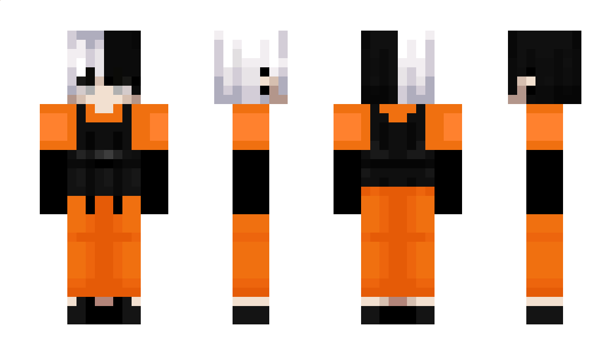 Brief Minecraft Skin