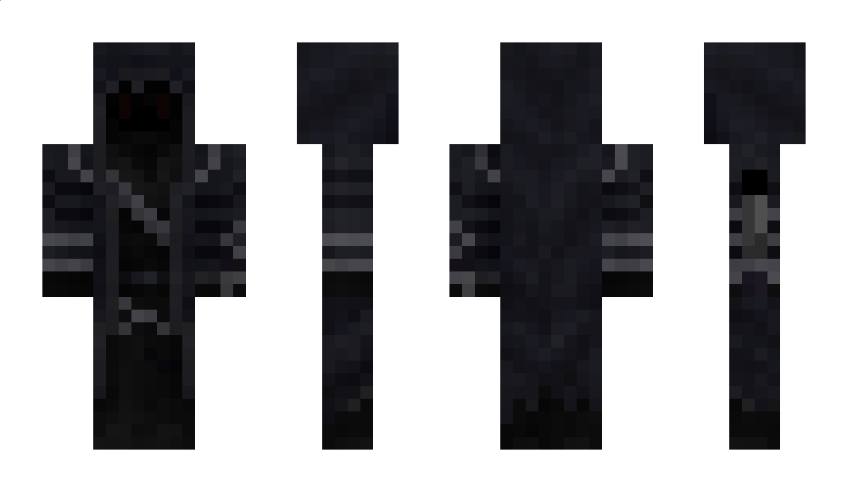 raaccon Minecraft Skin