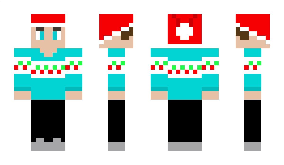 Radek22h Minecraft Skin