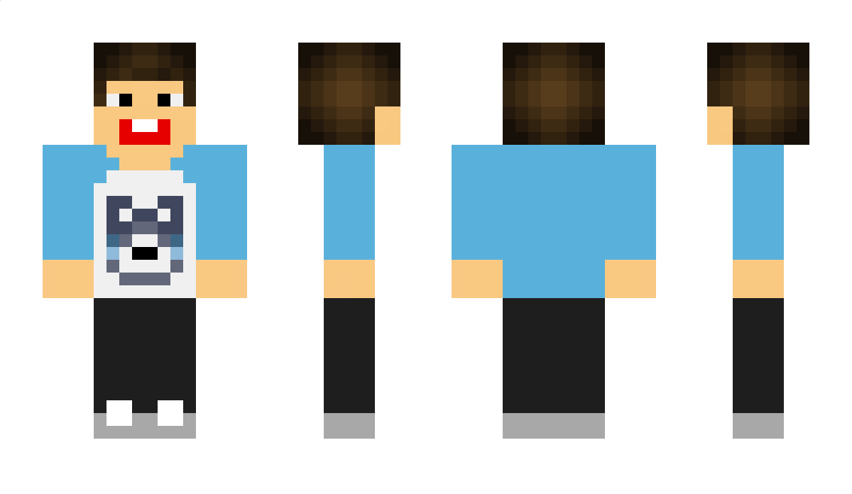 Surfcraft4 Minecraft Skin