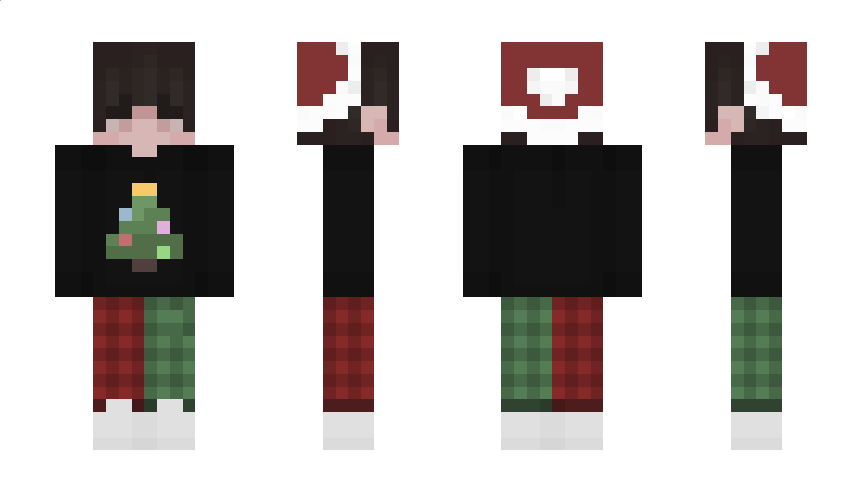 TR11 Minecraft Skin