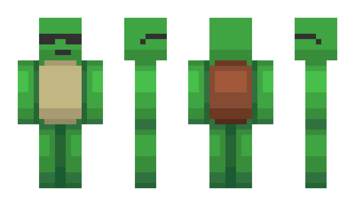 Turtle341 Minecraft Skin