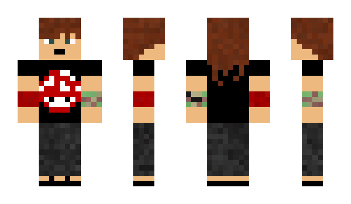 hasbula Minecraft Skin