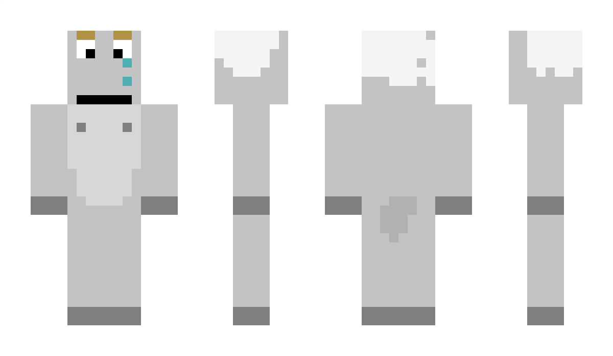 Flass3K Minecraft Skin