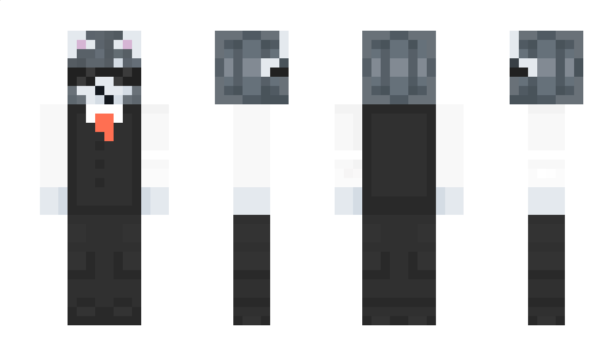 T3MCAT Minecraft Skin