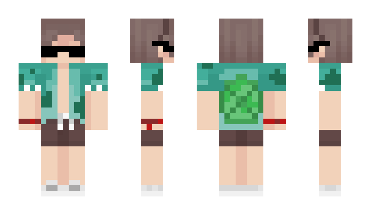 Domsisam Minecraft Skin