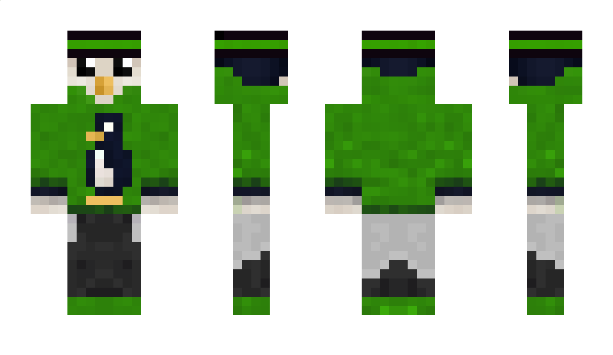 DragonPlayz Minecraft Skin