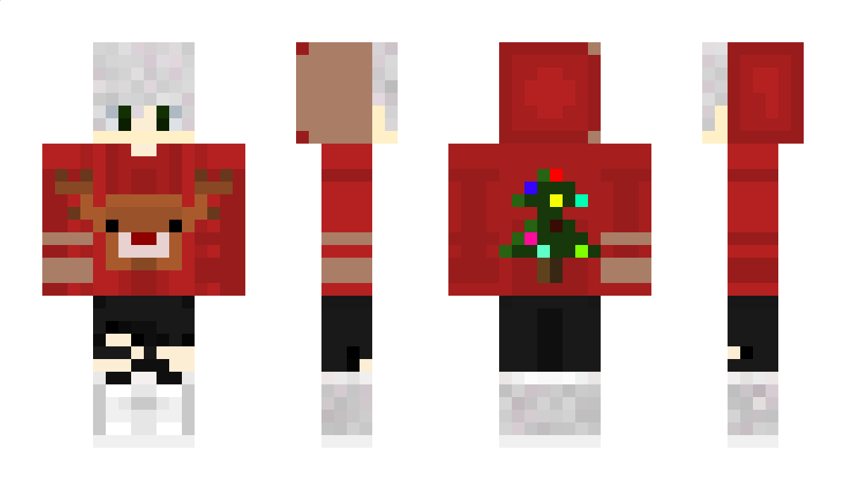 RuddolfMeister Minecraft Skin