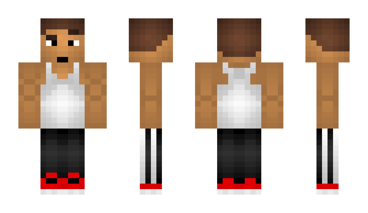 SLDN Minecraft Skin