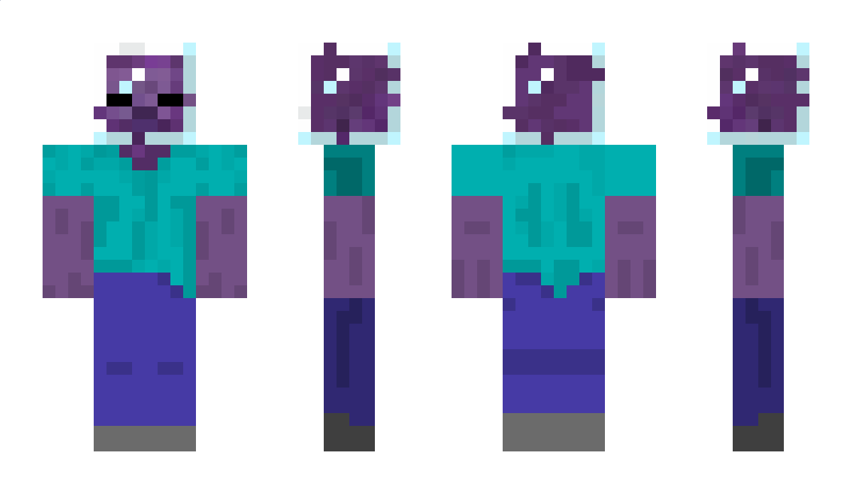 111111111 Minecraft Skin