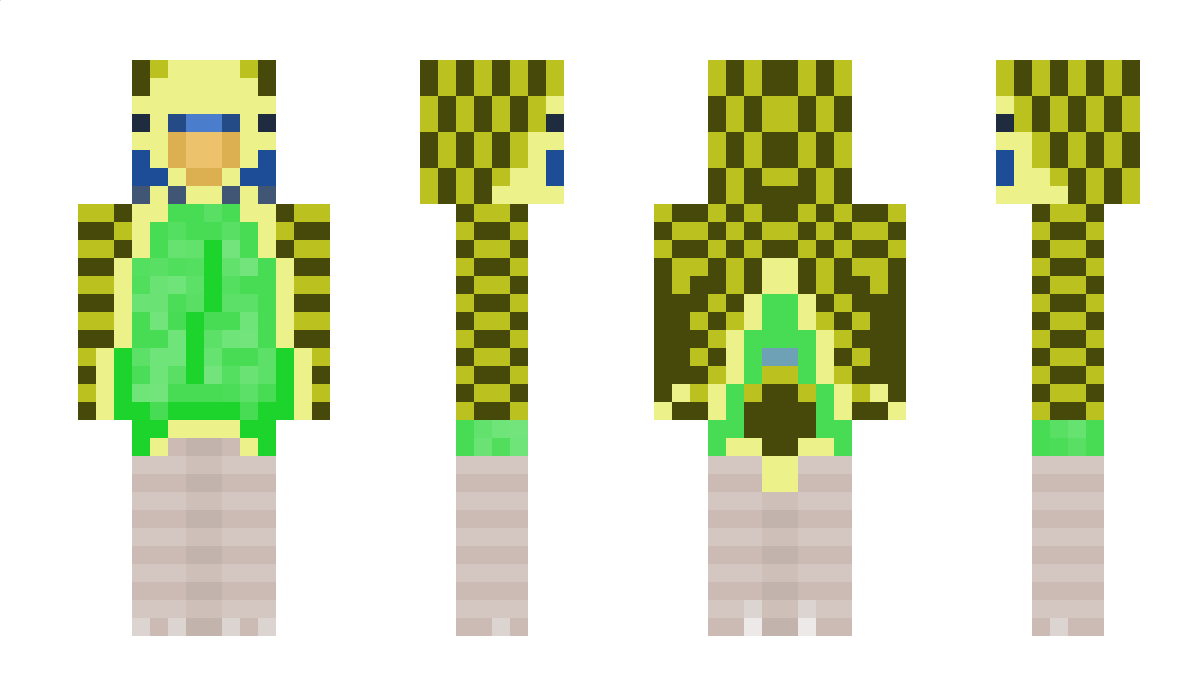 jonttubowser Minecraft Skin