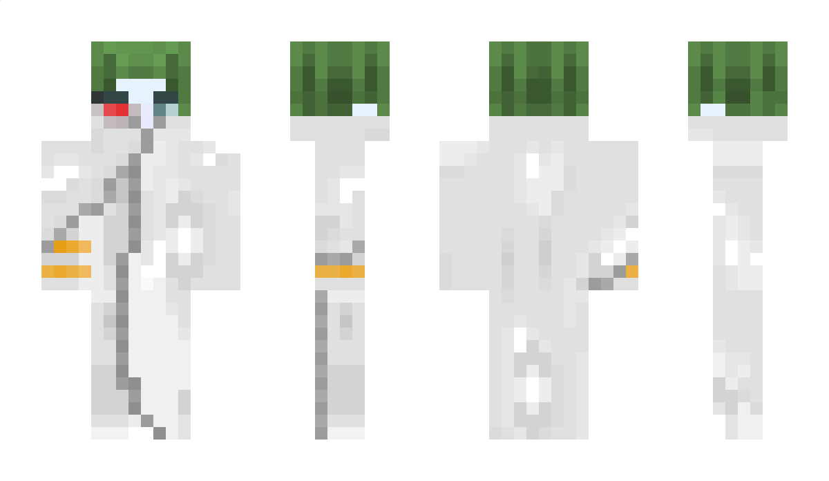 Gaytis Minecraft Skin