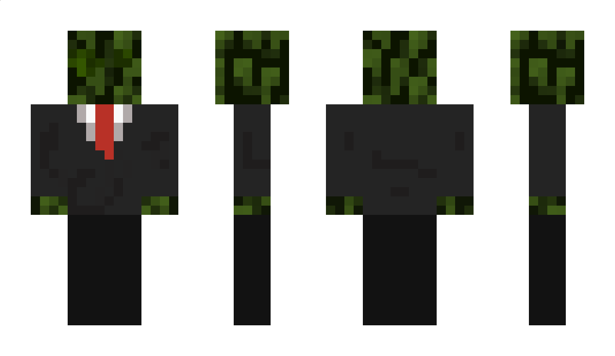 Letsbegay_12 Minecraft Skin