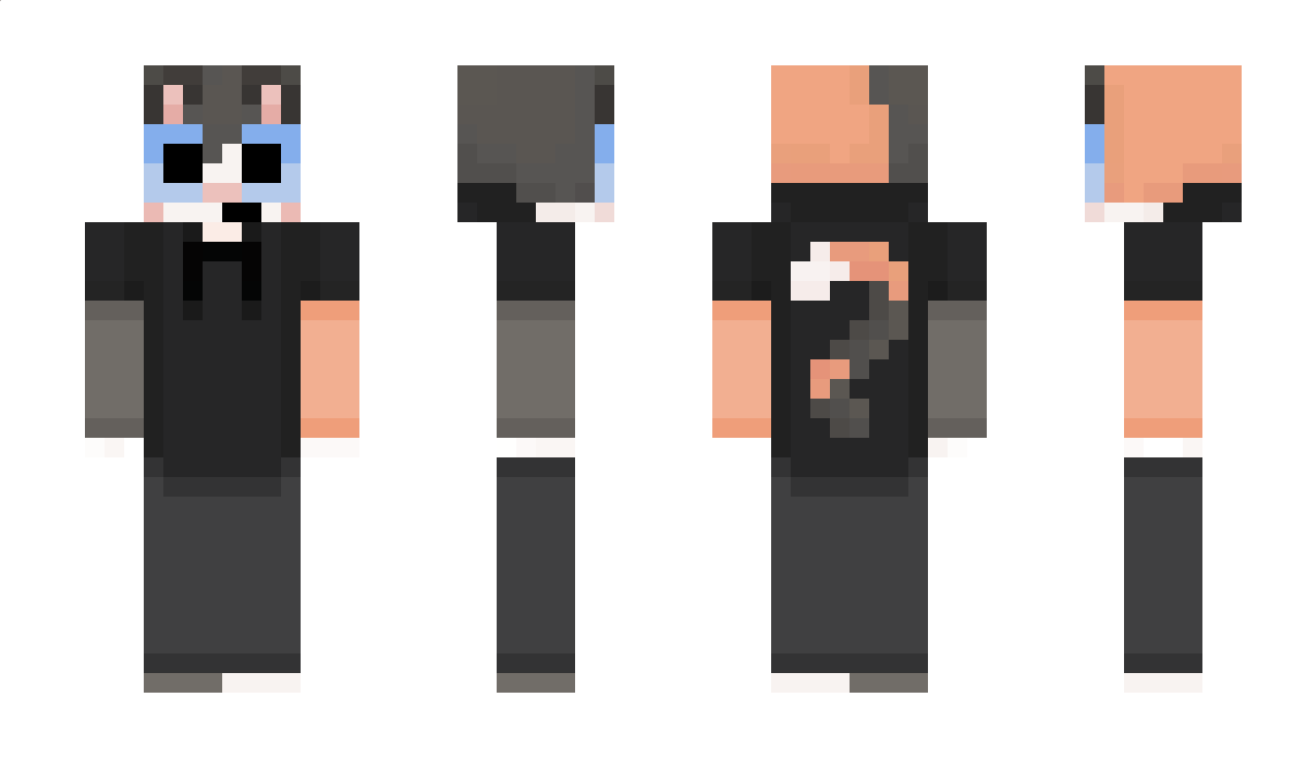 FalsoDani Minecraft Skin