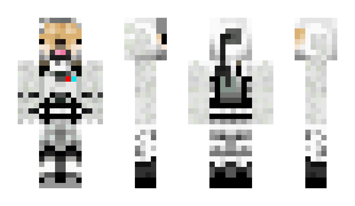 Kaja3147 Minecraft Skin