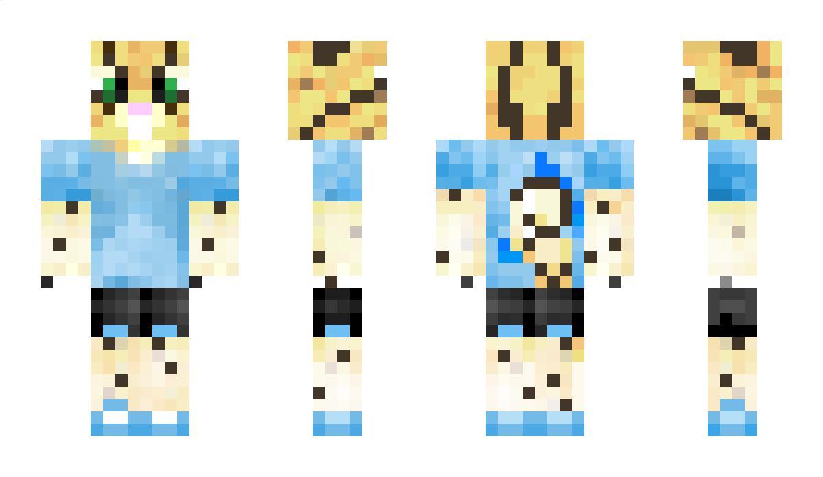 Mietm Minecraft Skin