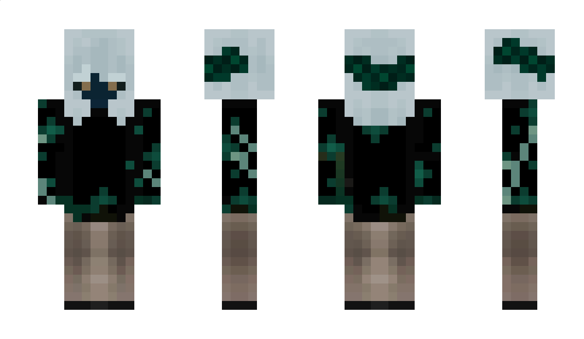 sarukasJ Minecraft Skin