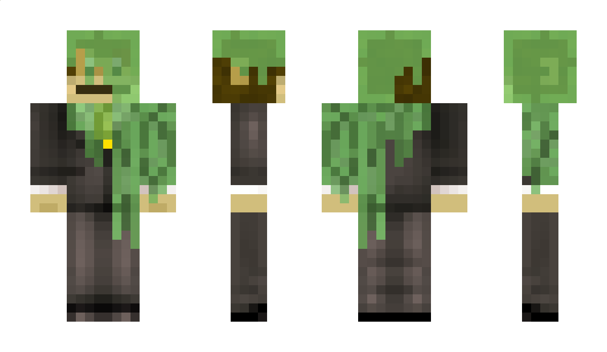 chrissienator Minecraft Skin