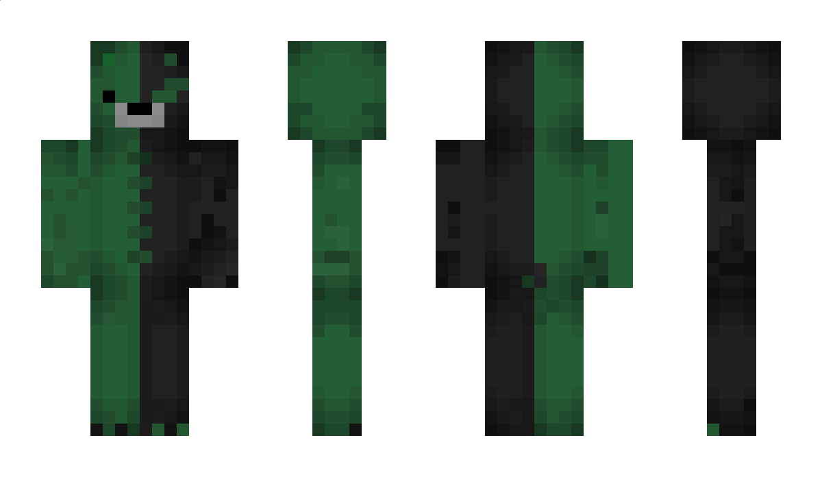 Sshaidyn Minecraft Skin