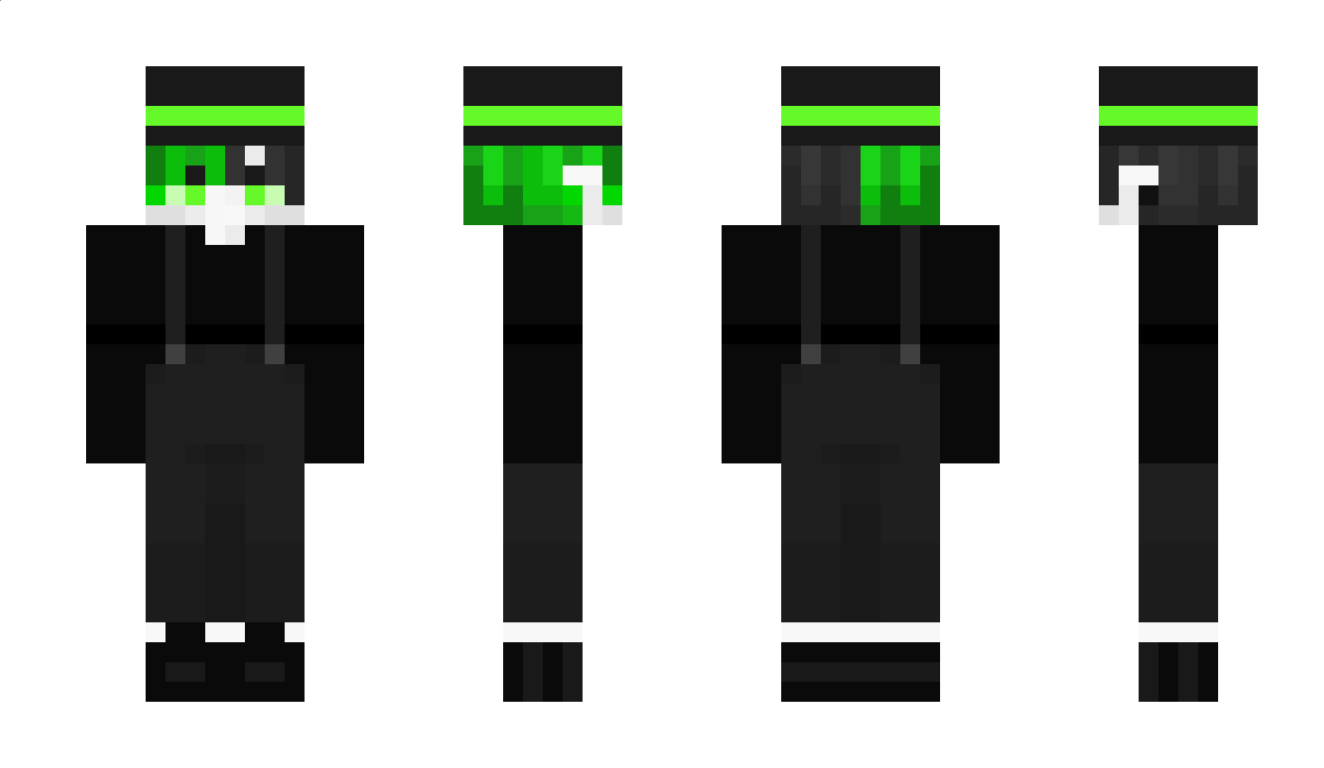 Wpd Minecraft Skin