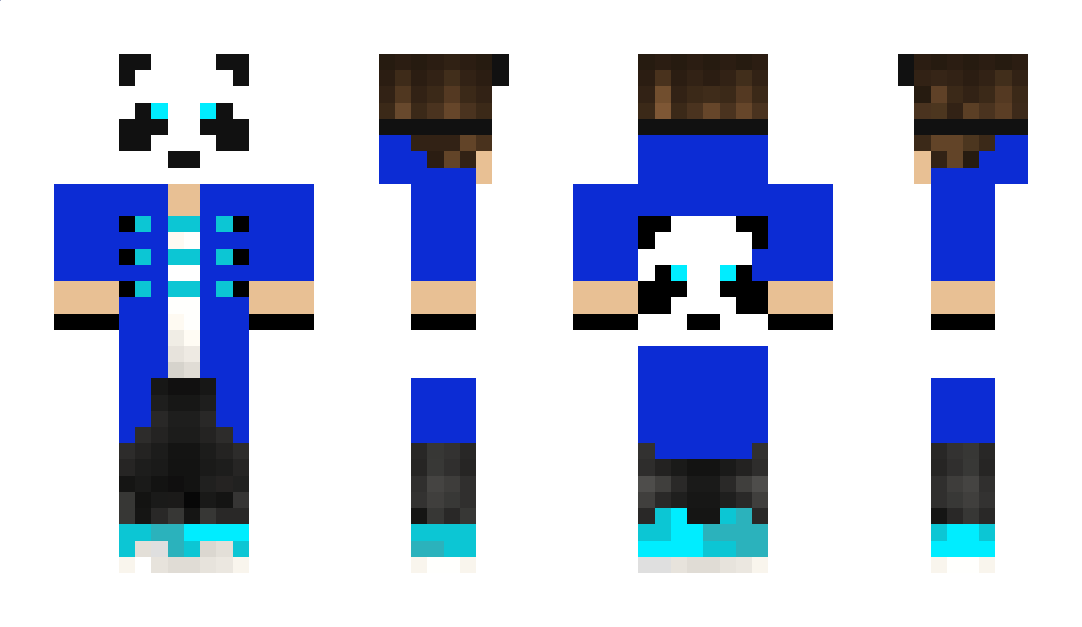 WinterPanda Minecraft Skin