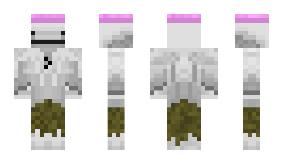 Mr312 Minecraft Skin