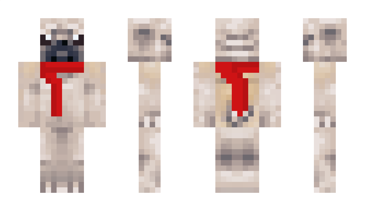 robak Minecraft Skin