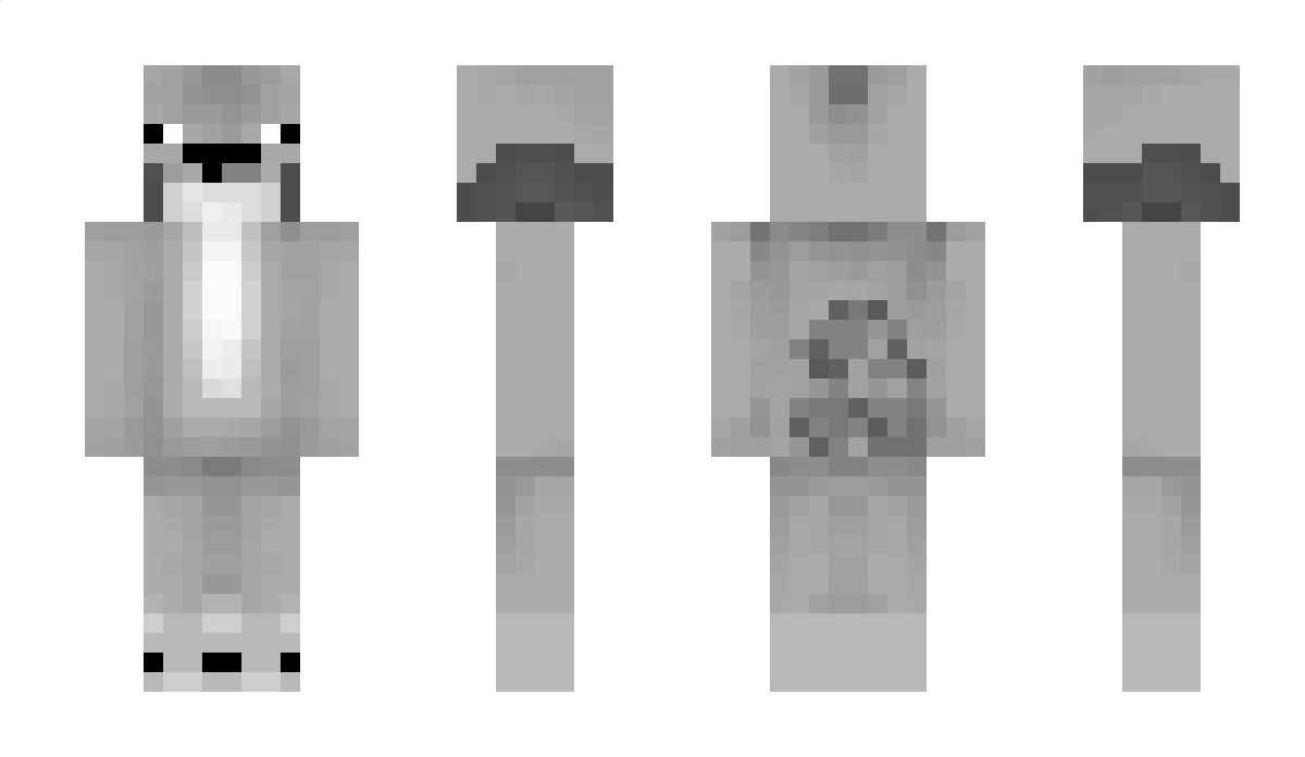 En_t Minecraft Skin