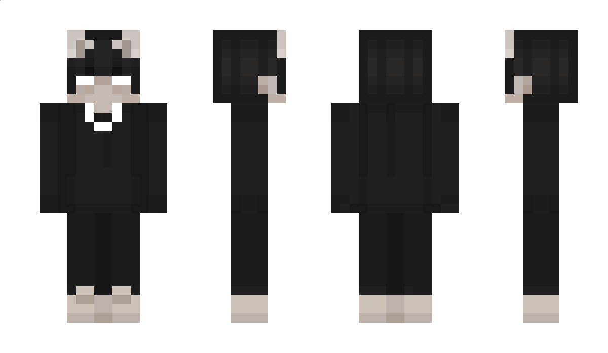 Nameltron Minecraft Skin