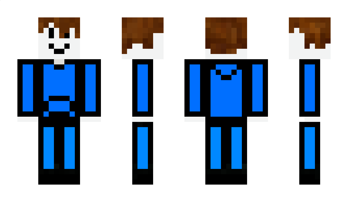 AliAlpsonic Minecraft Skin