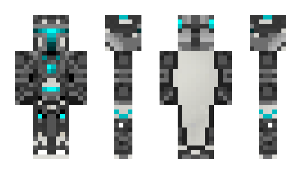 Turtlemasterz Minecraft Skin