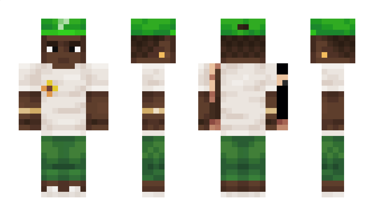 broawn Minecraft Skin