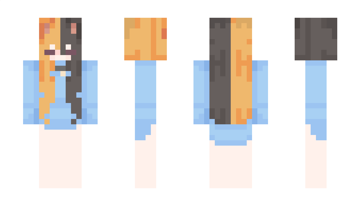 ery_n Minecraft Skin