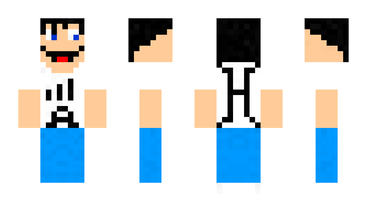 HDSC Minecraft Skin