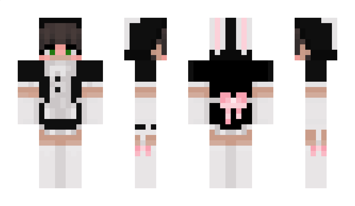 Executable2301 Minecraft Skin