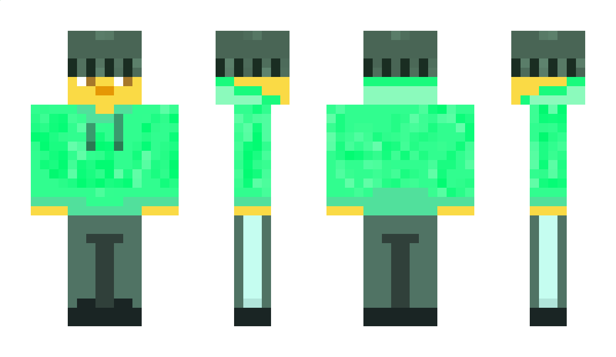 aani1405 Minecraft Skin