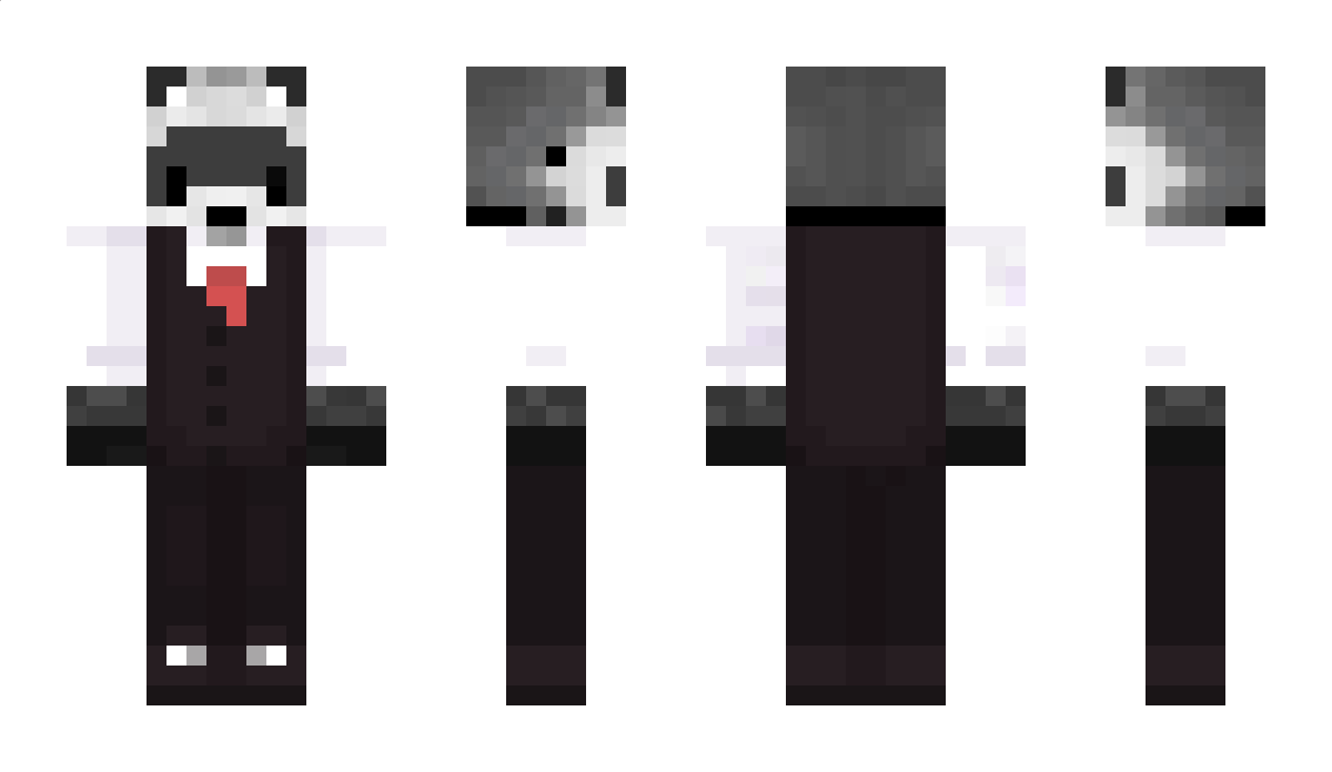 HoodedSpider Minecraft Skin