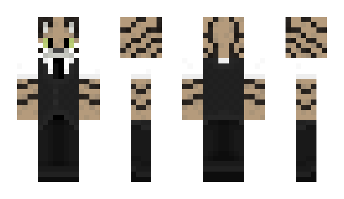 drwho2802 Minecraft Skin