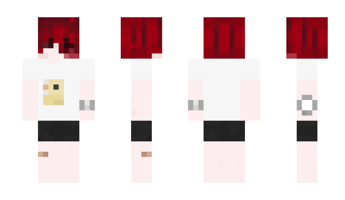 distorcisz Minecraft Skin