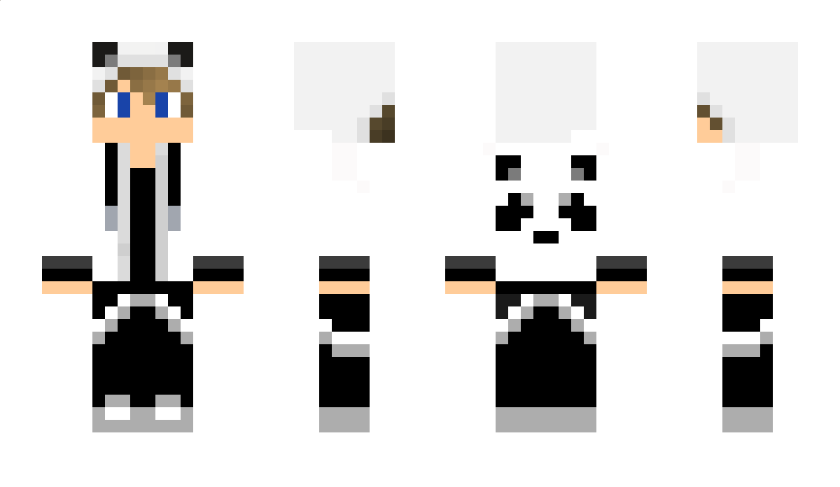 pandaboy Minecraft Skin