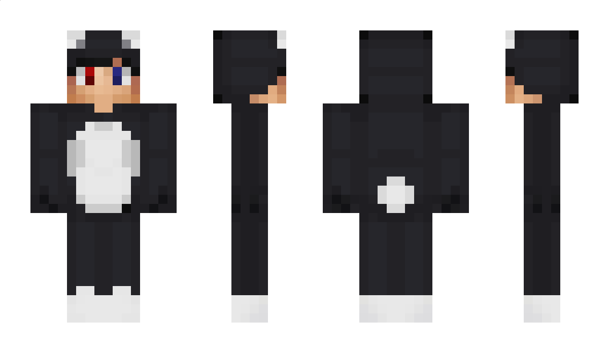 502_ Minecraft Skin