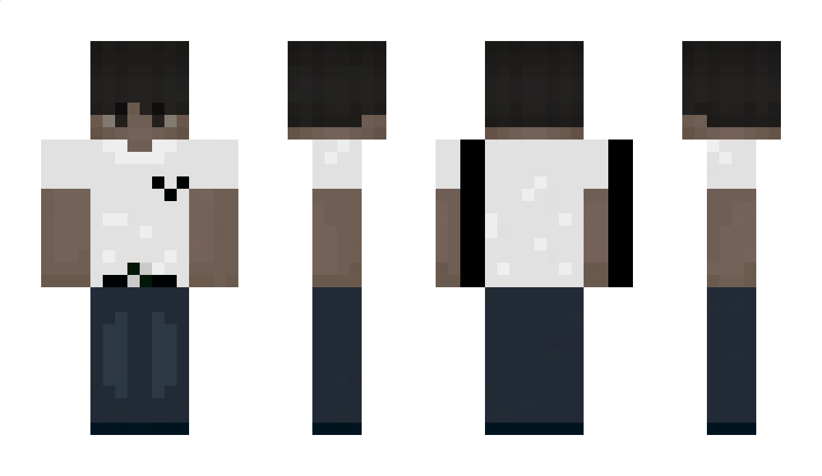 loggen Minecraft Skin