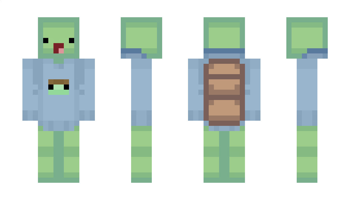 Aturtlegamer123 Minecraft Skin