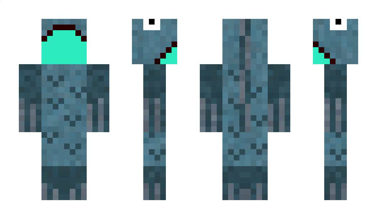 Zalle Minecraft Skin