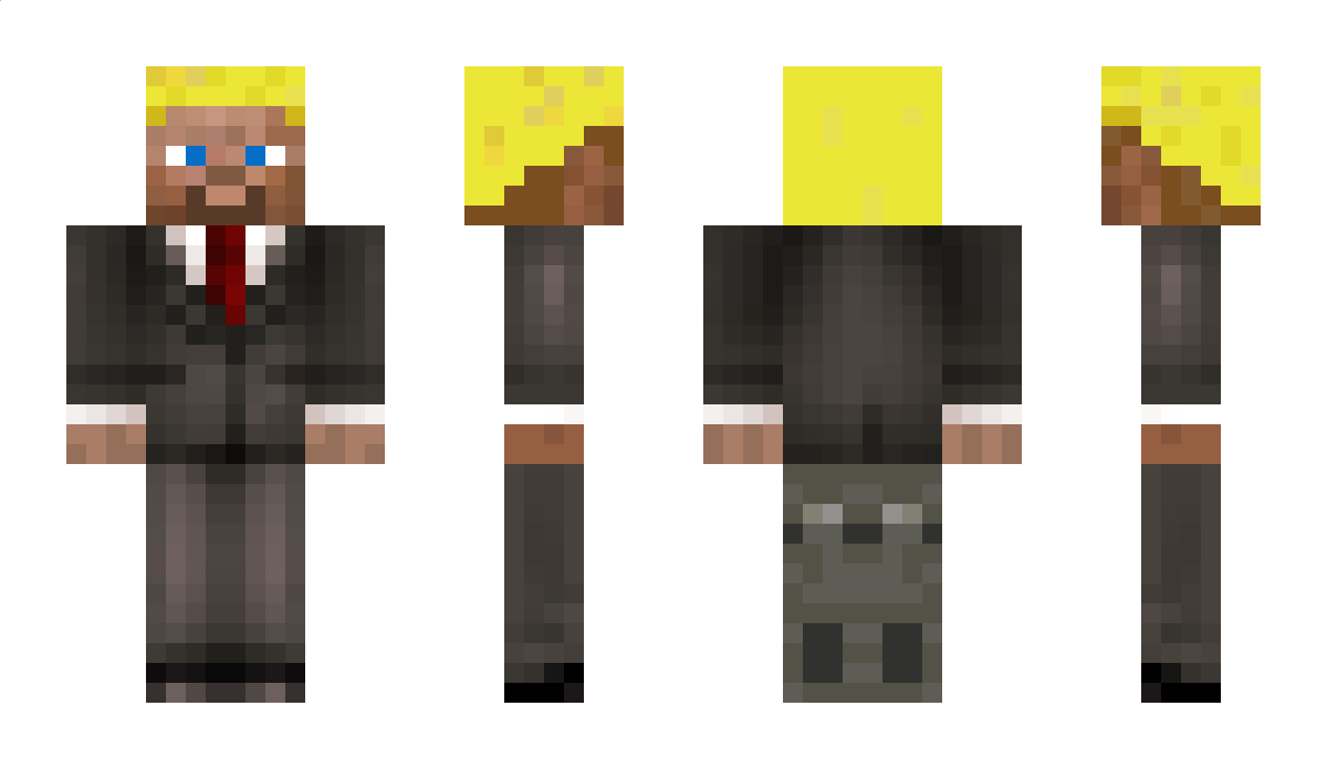 agentt110 Minecraft Skin