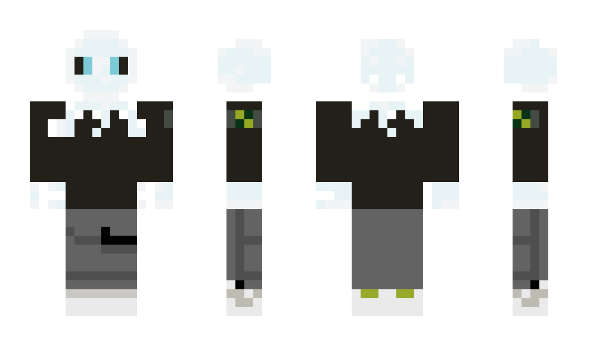 TonicWeb4516156 Minecraft Skin