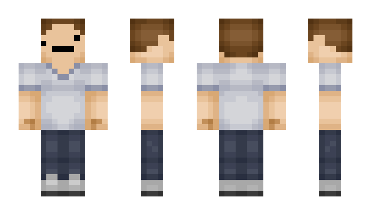 VanillaRaids Minecraft Skin