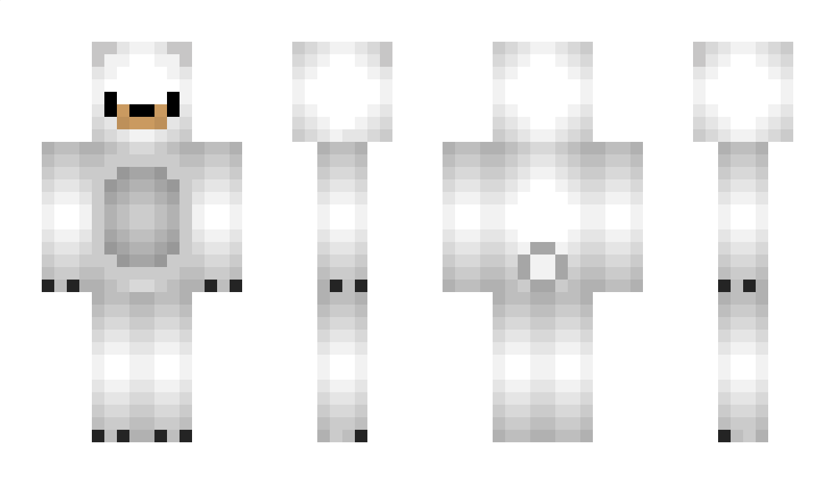 PolarFynn Minecraft Skin