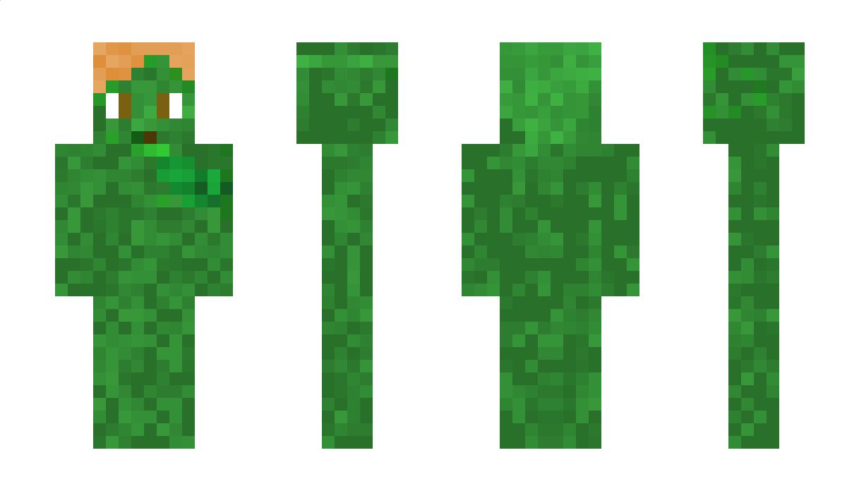 eliasPJ Minecraft Skin