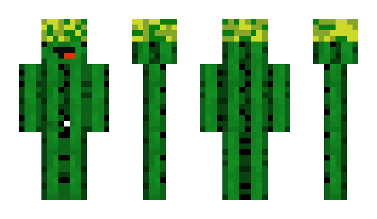 Im_Cactus_ Minecraft Skin